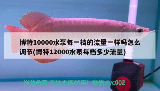 博特10000水泵每一檔的流量一樣嗎怎么調(diào)節(jié)(博特12000水泵每檔多少流量) 博特水族