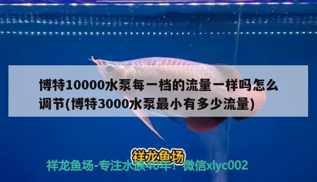 博特10000水泵每一檔的流量一樣嗎怎么調(diào)節(jié)(博特3000水泵最小有多少流量) 博特水族