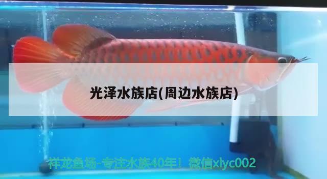 光澤水族店(周邊水族店) 祥龍魚場(chǎng)