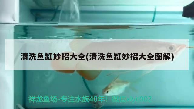 清洗魚缸妙招大全(清洗魚缸妙招大全圖解)