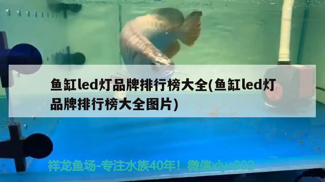 魚缸led燈品牌排行榜大全(魚缸led燈品牌排行榜大全圖片) 魚缸清潔用具