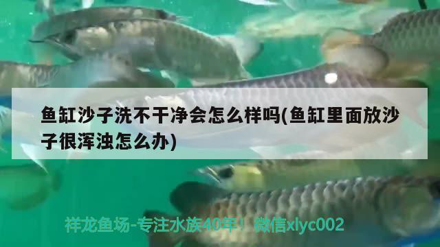 魚缸沙子洗不干凈會怎么樣嗎(魚缸里面放沙子很渾濁怎么辦) 魚缸凈水劑