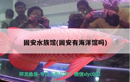 固安水族館(固安有海洋館嗎) 觀賞魚魚苗