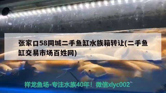 張家口58同城二手魚缸水族箱轉(zhuǎn)讓(二手魚缸交易市場百姓網(wǎng))