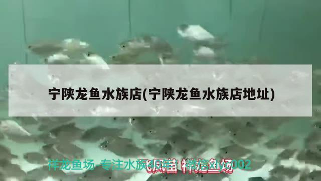 寧陜龍魚水族店(寧陜龍魚水族店地址) 狗仔（招財貓)魚苗