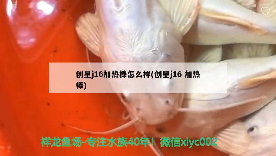 創(chuàng)星j16加熱棒怎么樣(創(chuàng)星j16加熱棒)