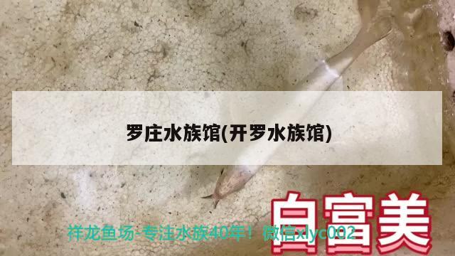 羅莊水族館(開羅水族館) 野彩魚