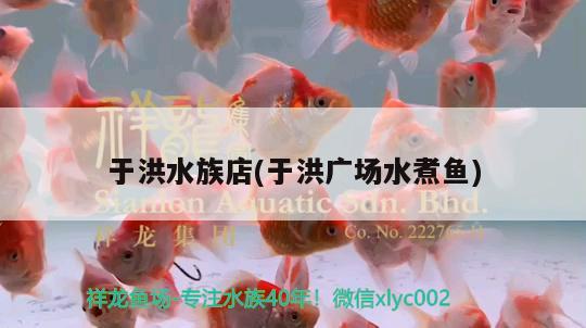 于洪水族店(于洪廣場水煮魚) 廣州觀賞魚魚苗批發(fā)市場