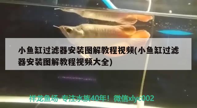 小魚缸過(guò)濾器安裝圖解教程視頻(小魚缸過(guò)濾器安裝圖解教程視頻大全) 魚缸水質(zhì)穩(wěn)定劑