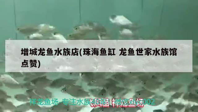 增城龍魚水族店(珠海魚缸龍魚世家水族館點(diǎn)贊)