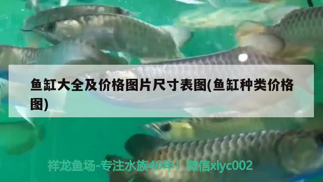 魚缸大全及價(jià)格圖片尺寸表圖(魚缸種類價(jià)格圖) 水族雜談