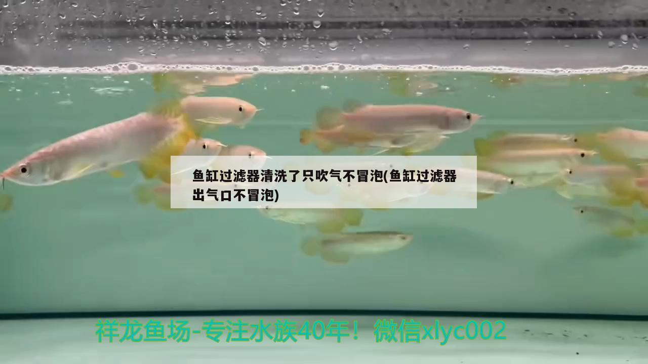 魚缸過濾器清洗了只吹氣不冒泡(魚缸過濾器出氣口不冒泡)