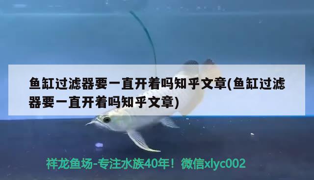 魚缸過濾器要一直開著嗎知乎文章(魚缸過濾器要一直開著嗎知乎文章) 七紋巨鯉魚