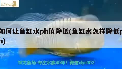 如何讓魚缸水ph值降低(魚缸水怎樣降低ph)