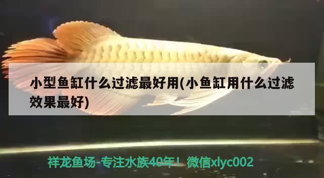 小型魚缸什么過(guò)濾最好用(小魚缸用什么過(guò)濾效果最好)