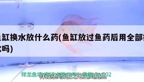 魚缸換水放什么藥(魚缸放過(guò)魚藥后用全部換水嗎)