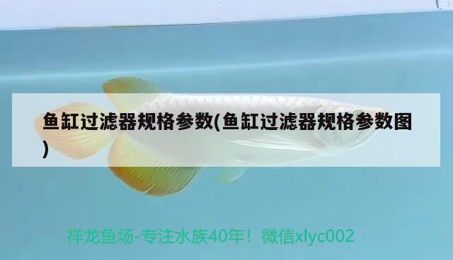 魚缸過濾器規(guī)格參數(shù)(魚缸過濾器規(guī)格參數(shù)圖) 大嘴鯨魚