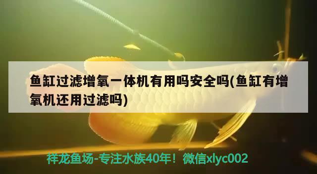 魚缸過濾增氧一體機有用嗎安全嗎(魚缸有增氧機還用過濾嗎) 狗仔（招財貓)魚苗