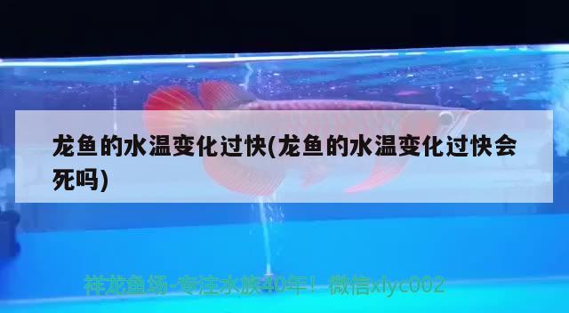 龍魚的水溫變化過快(龍魚的水溫變化過快會死嗎) 虎魚百科