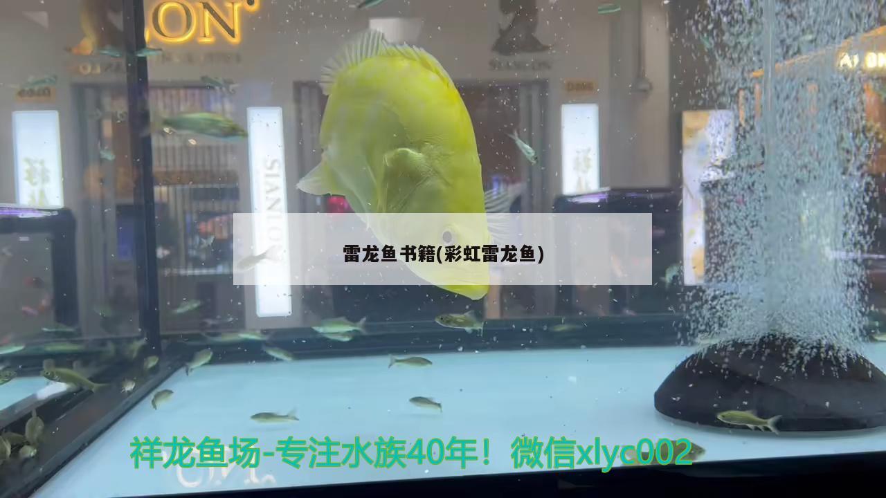 雷龍魚書籍(彩虹雷龍魚)