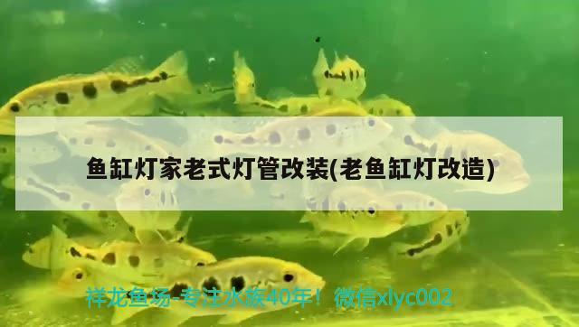 魚缸燈家老式燈管改裝(老魚缸燈改造)