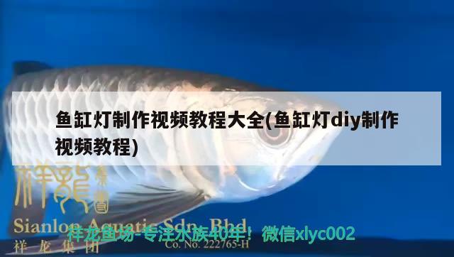 魚(yú)缸燈制作視頻教程大全(魚(yú)缸燈diy制作視頻教程) 熊貓異形魚(yú)L46