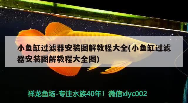 小魚缸過濾器安裝圖解教程大全(小魚缸過濾器安裝圖解教程大全圖)