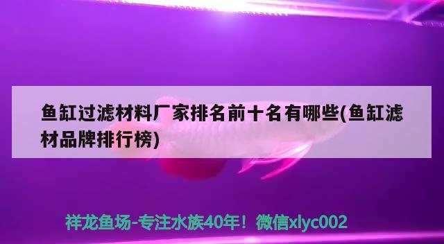 魚(yú)缸過(guò)濾材料廠家排名前十名有哪些(魚(yú)缸濾材品牌排行榜) 觀賞魚(yú)市場(chǎng)（混養(yǎng)魚(yú)）