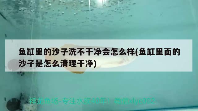 魚缸里的沙子洗不干凈會怎么樣(魚缸里面的沙子是怎么清理干凈)