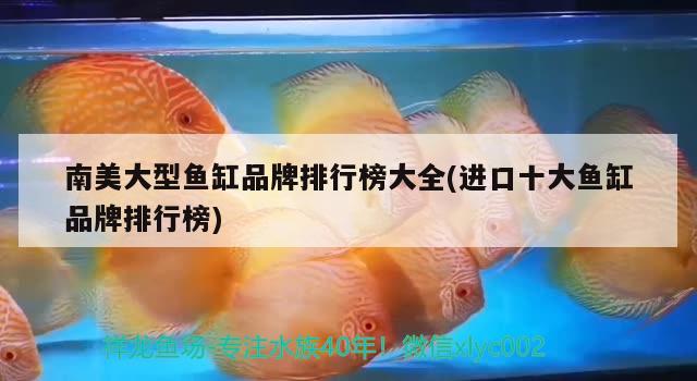 南美大型魚缸品牌排行榜大全(進(jìn)口十大魚缸品牌排行榜) 大白鯊魚