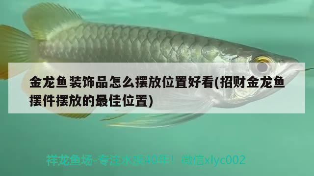 金龍魚裝飾品怎么擺放位置好看(招財(cái)金龍魚擺件擺放的最佳位置)