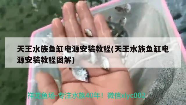 天王水族魚缸電源安裝教程(天王水族魚缸電源安裝教程圖解) B級過背金龍魚