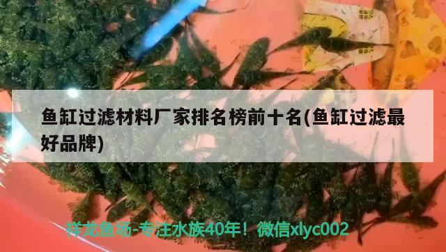 魚缸過濾材料廠家排名榜前十名(魚缸過濾最好品牌) 生態(tài)瓶/創(chuàng)意缸/桌面微景缸