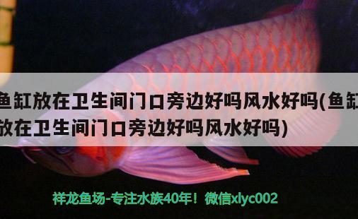 魚缸放在衛(wèi)生間門口旁邊好嗎風水好嗎(魚缸放在衛(wèi)生間門口旁邊好嗎風水好嗎) 魚缸風水