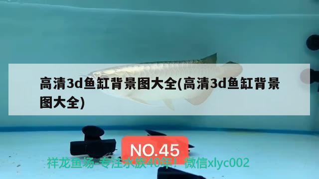 高清3d魚缸背景圖大全(高清3d魚缸背景圖大全)