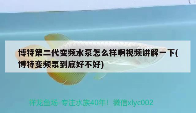 博特第二代變頻水泵怎么樣啊視頻講解一下(博特變頻泵到底好不好) 博特水族