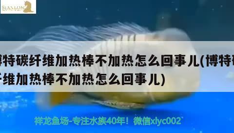 博特碳纖維加熱棒不加熱怎么回事兒(博特碳纖維加熱棒不加熱怎么回事兒)