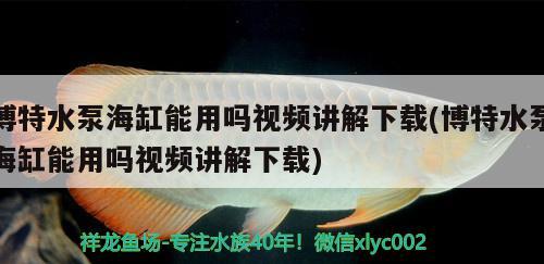 博特水泵海缸能用嗎視頻講解下載(博特水泵海缸能用嗎視頻講解下載) 博特水族