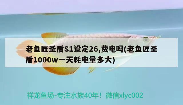 老魚匠圣盾S1設(shè)定26,費(fèi)電嗎(老魚匠圣盾1000w一天耗電量多大) 老魚匠