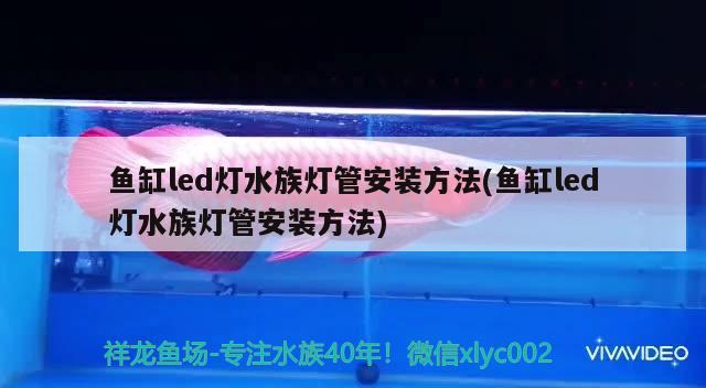 魚(yú)缸led燈水族燈管安裝方法(魚(yú)缸led燈水族燈管安裝方法) 南美異型魚(yú)