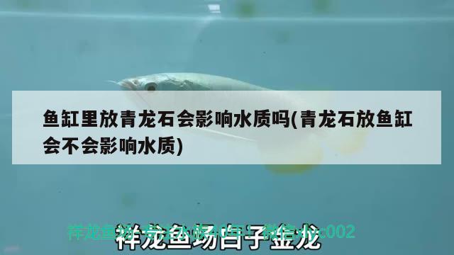 魚缸里放青龍石會影響水質(zhì)嗎(青龍石放魚缸會不會影響水質(zhì)) 南美異型魚