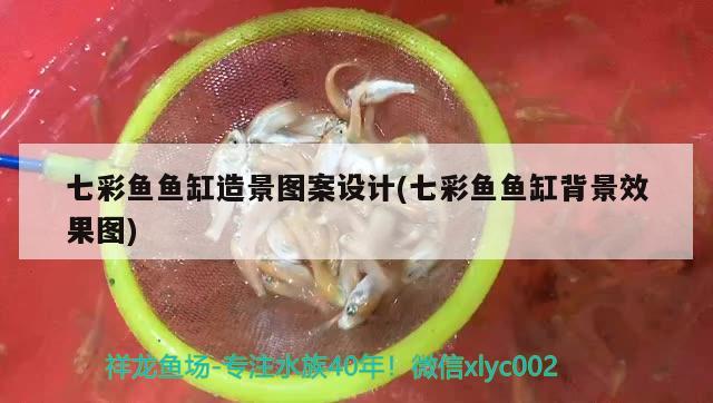 七彩魚(yú)魚(yú)缸造景圖案設(shè)計(jì)(七彩魚(yú)魚(yú)缸背景效果圖) 養(yǎng)魚(yú)知識(shí)