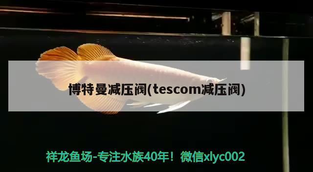 博特曼減壓閥(tescom減壓閥)