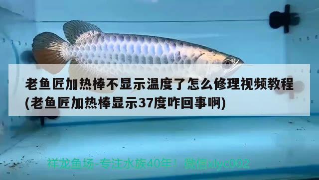 老魚匠加熱棒不顯示溫度了怎么修理視頻教程(老魚匠加熱棒顯示37度咋回事啊)