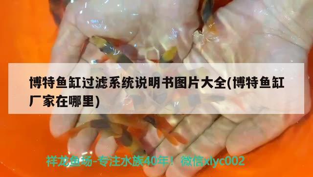 博特魚缸過濾系統(tǒng)說明書圖片大全(博特魚缸廠家在哪里) 博特水族