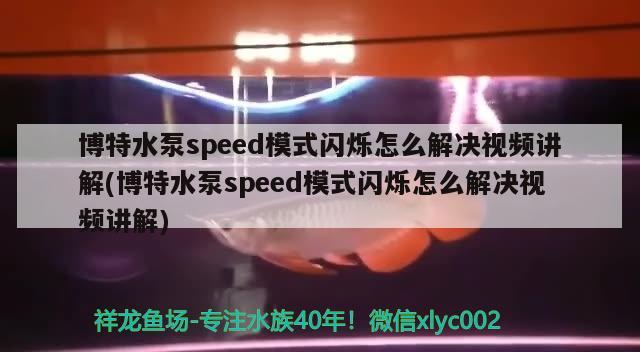 博特水泵speed模式閃爍怎么解決視頻講解(博特水泵speed模式閃爍怎么解決視頻講解)