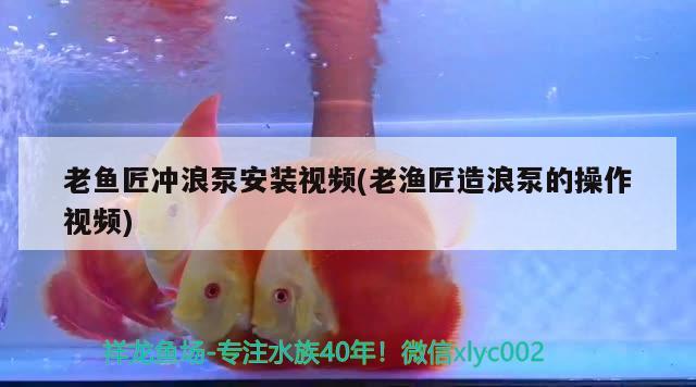 老魚匠沖浪泵安裝視頻(老漁匠造浪泵的操作視頻) 老魚匠