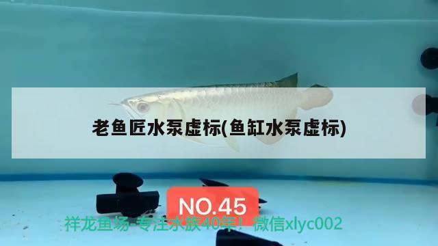 老魚匠水泵虛標(魚缸水泵虛標) 老魚匠