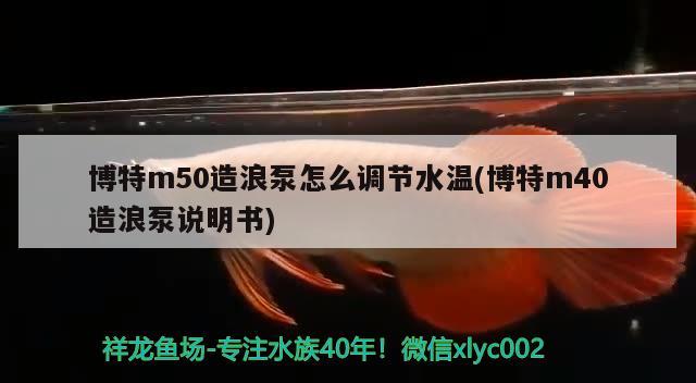 博特m50造浪泵怎么調(diào)節(jié)水溫(博特m40造浪泵說明書) 博特水族