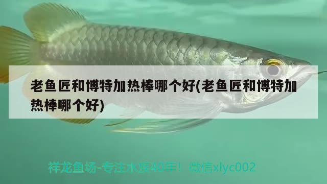 老魚匠和博特加熱棒哪個(gè)好(老魚匠和博特加熱棒哪個(gè)好)